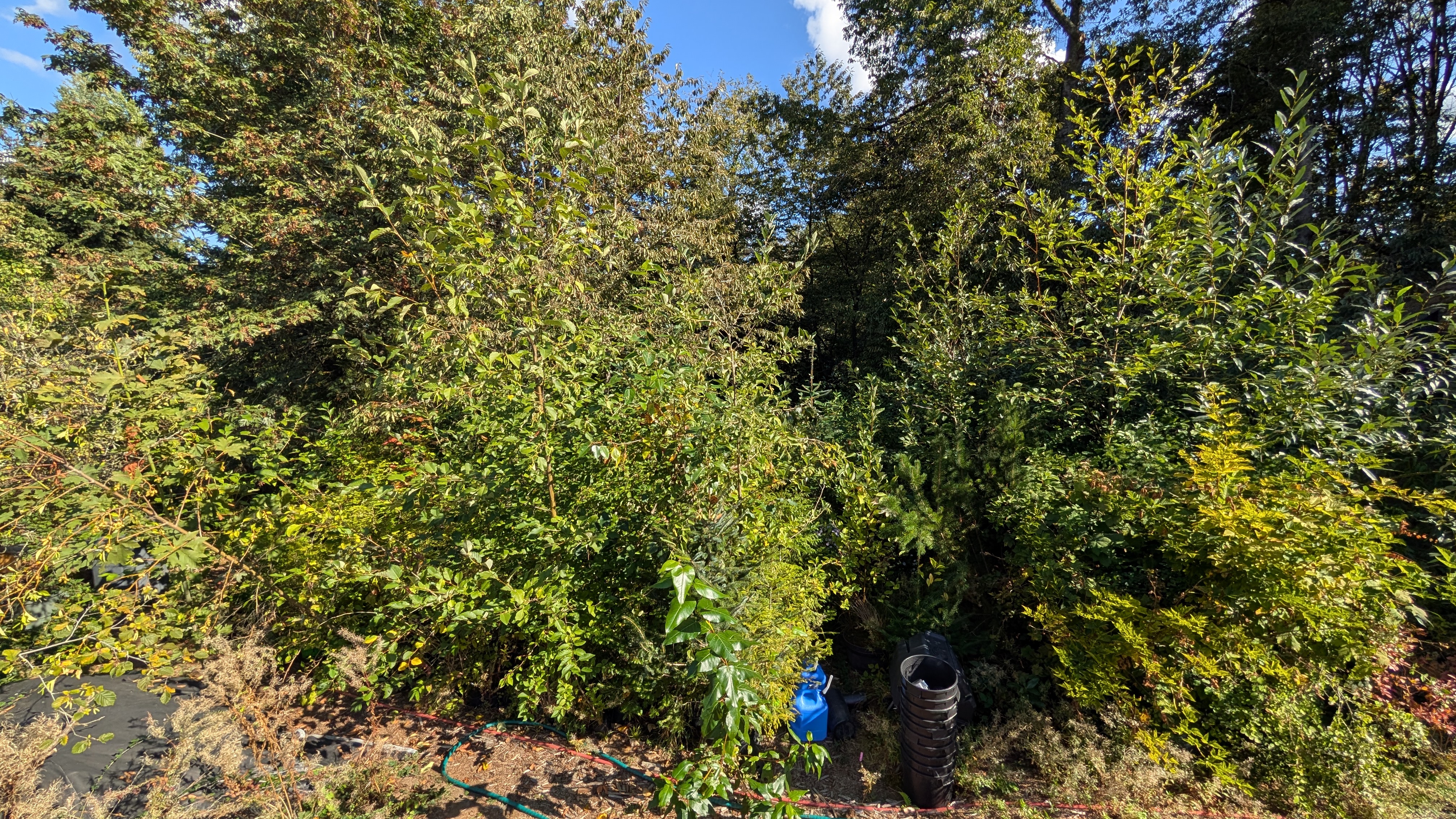Nursery view